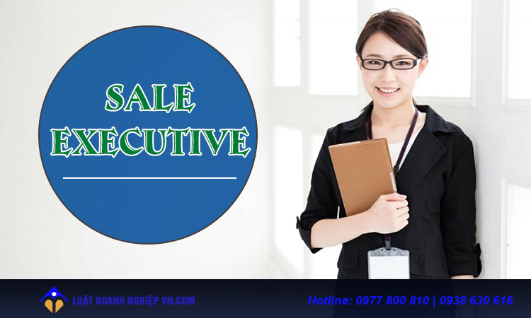Các từ kết hợp Executive: Sale, account, chief, marketing là gì