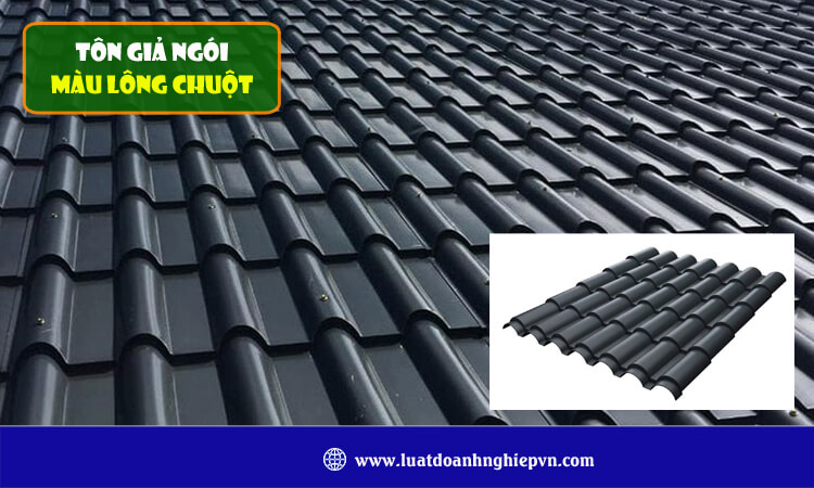 Tôn giả ngói màu lông chuột