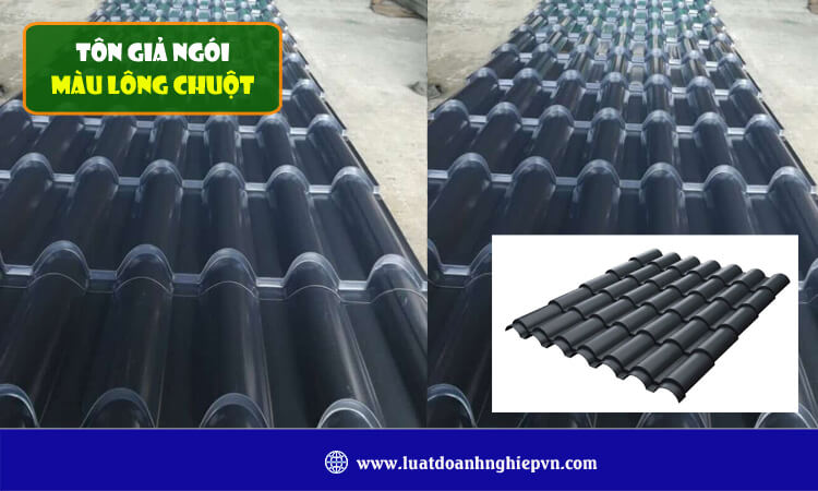 Tôn giả ngói màu lông chuột