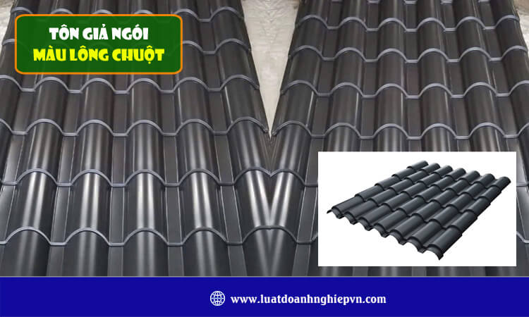 Tôn giả ngói màu lông chuột