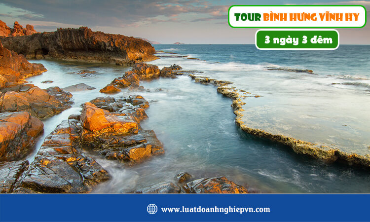 Tour Bình Hưng Vĩnh Hy 3 ngày 3 đêm 