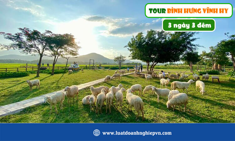 Tour Bình Hưng Vĩnh Hy 3 ngày 3 đêm 