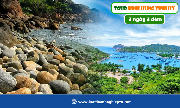 Tour Bình Hưng Vĩnh Hy 3 ngày 3 đêm 